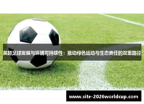 英超足球发展与环境可持续性：推动绿色运动与生态责任的双重路径