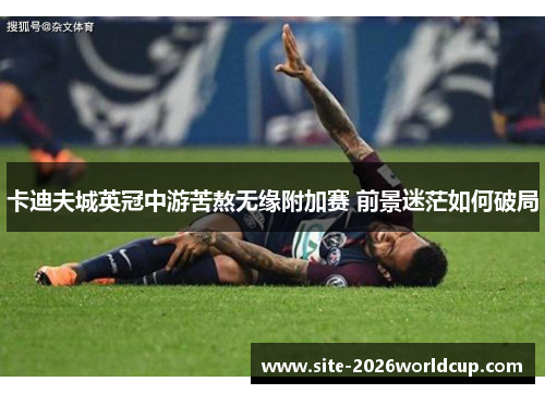 卡迪夫城英冠中游苦熬无缘附加赛 前景迷茫如何破局 卡迪夫城英冠中游苦熬无缘附加赛 前景迷茫如何破局
