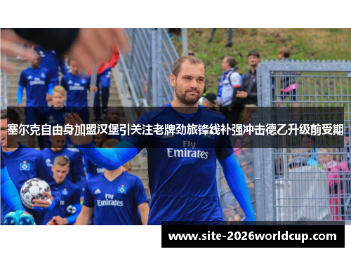 塞尔克自由身加盟汉堡引关注老牌劲旅锋线补强冲击德乙升级前受期